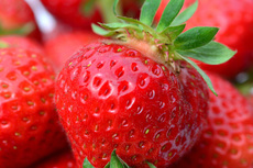 Erdbeere (8).jpg